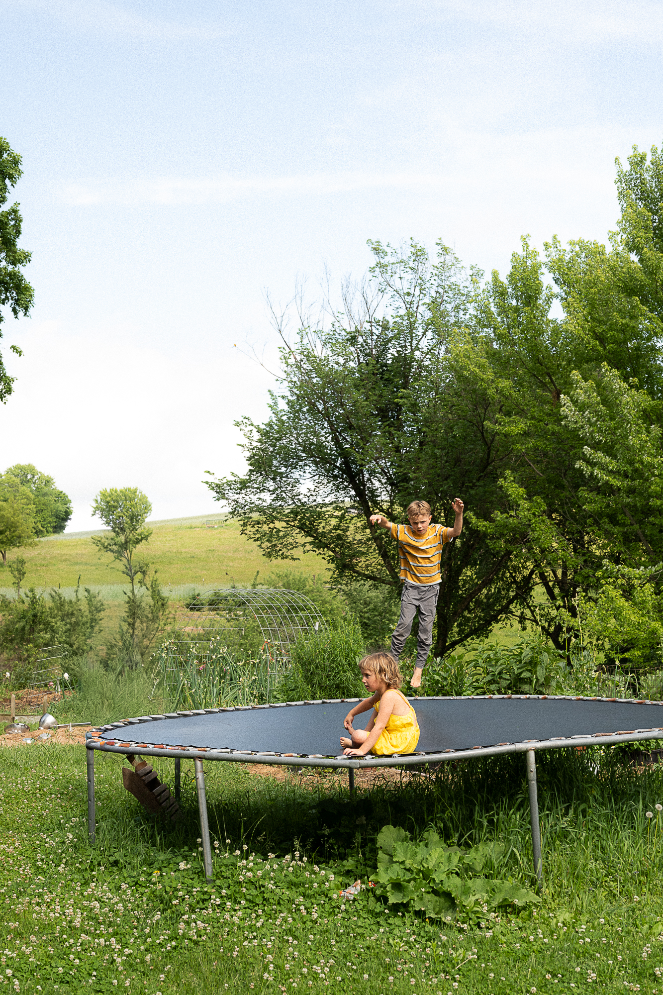 kids jump on a trampoline with green hills and trees behind them during a documentary family photo session