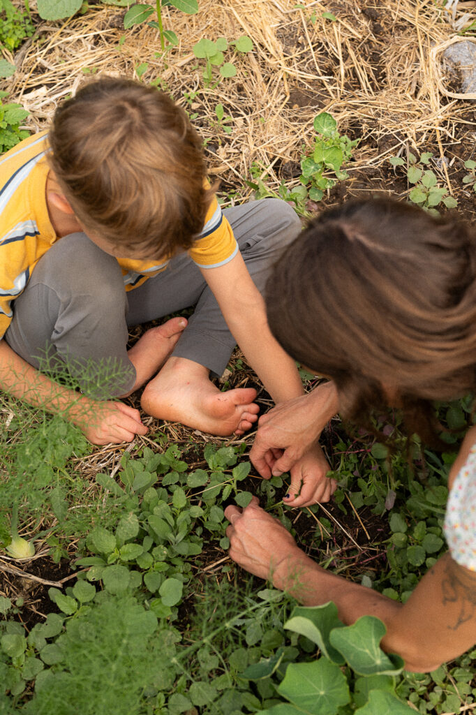 Mother and son harvest from their garden during a documentary family photography session